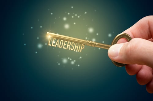habilidades de liderazgo
