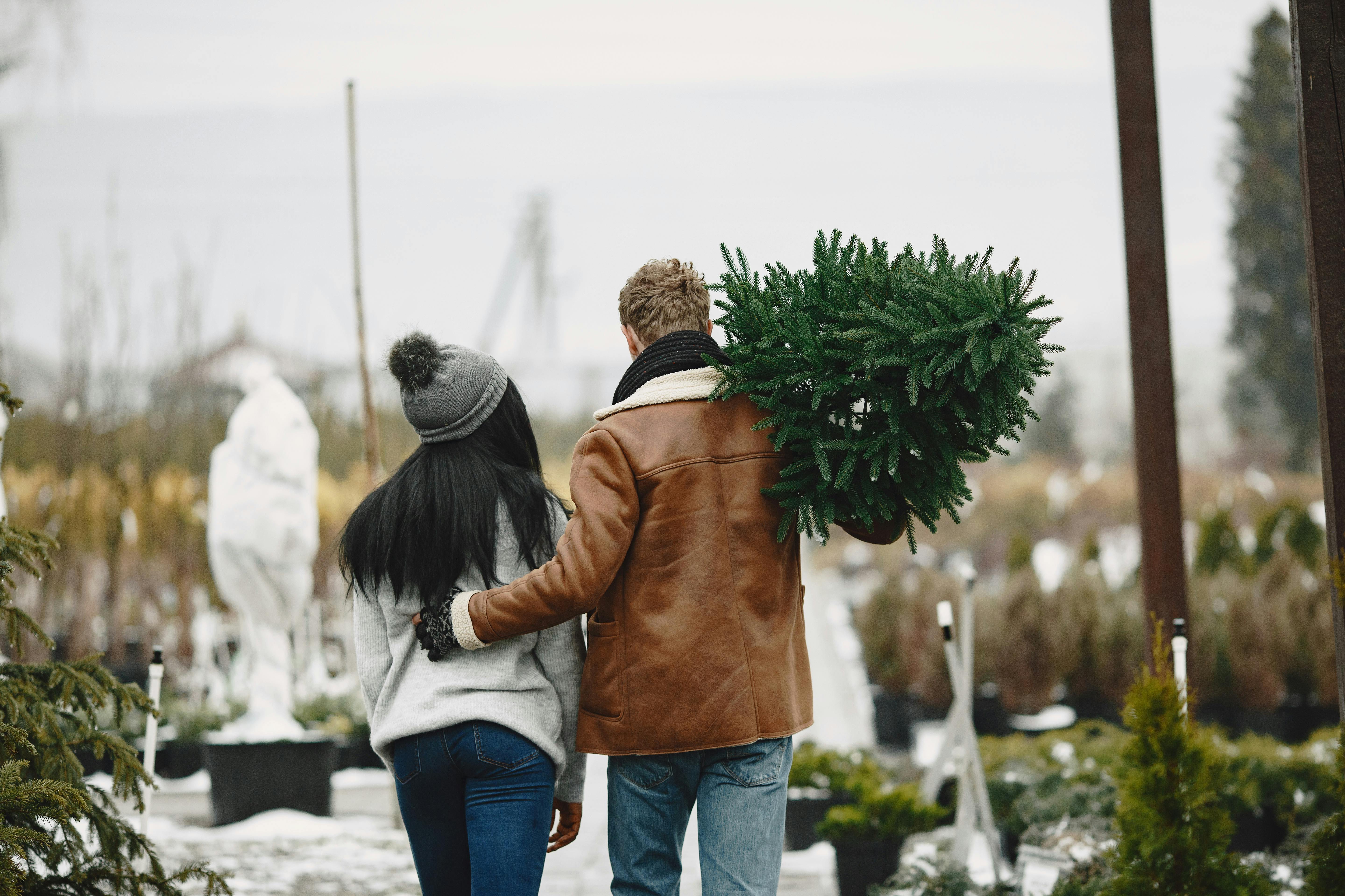 Los Árboles de Navidad de producción sustentable son una excelente opción para decorar. 