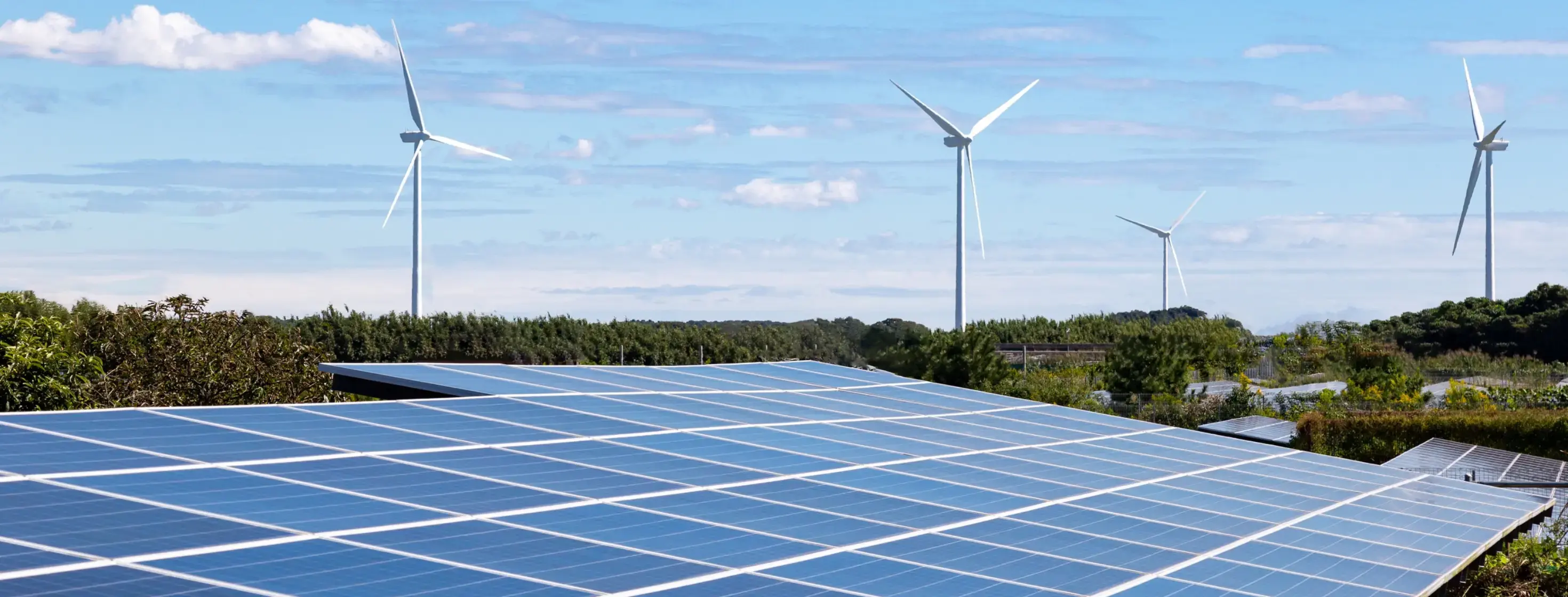 Sector Energético en México: El Nuevo Panorama para Liderar el Futuro